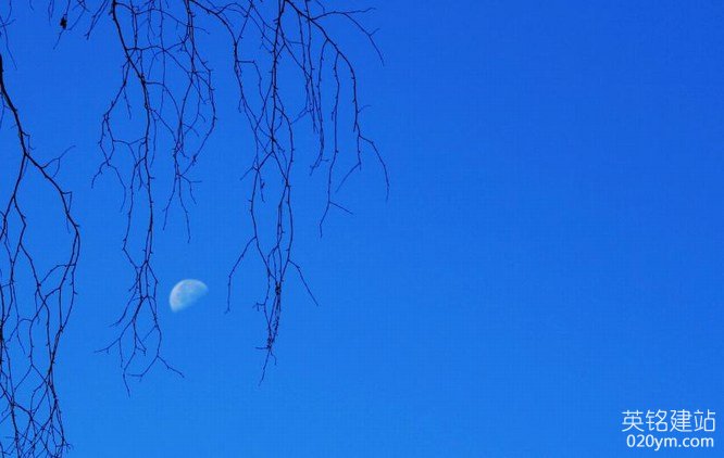 777久久久精品一区二区三区