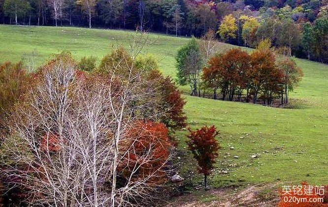 777久久久精品一区二区三区