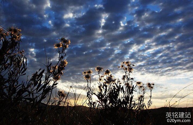 777久久久精品一区二区三区