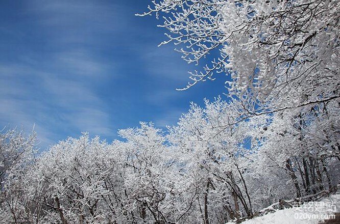 777久久久精品一区二区三区