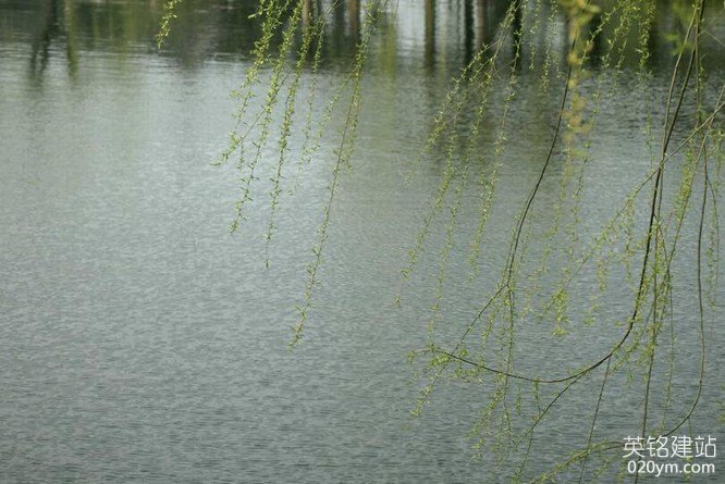 777久久久精品一区二区三区