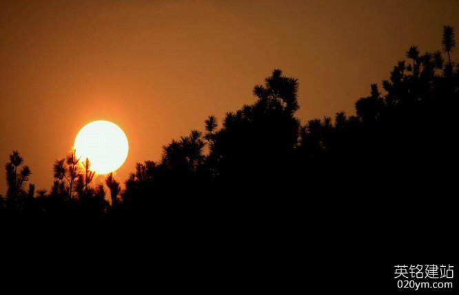 777久久久精品一区二区三区