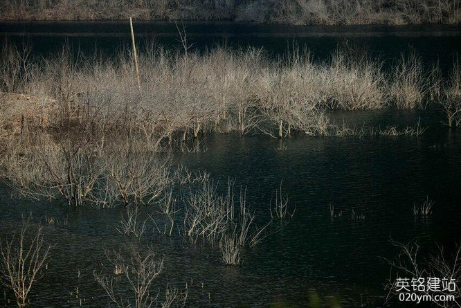 777久久久精品一区二区三区