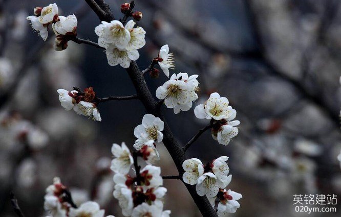 777久久久精品一区二区三区