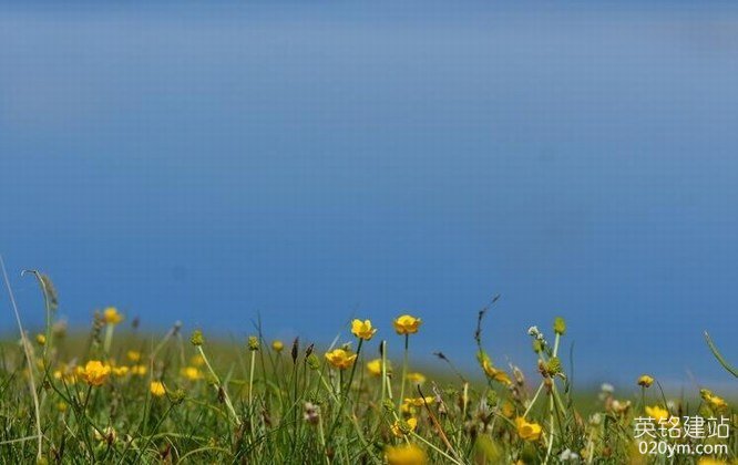 777久久久精品一区二区三区