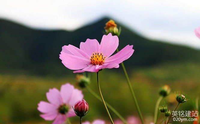 777久久久精品一区二区三区