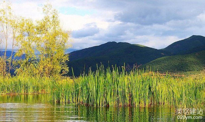 777久久久精品一区二区三区