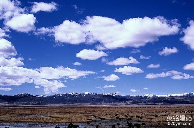 777久久久精品一区二区三区