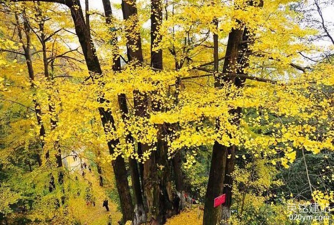 777久久久精品一区二区三区