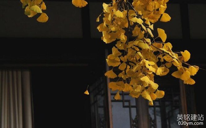 777久久久精品一区二区三区