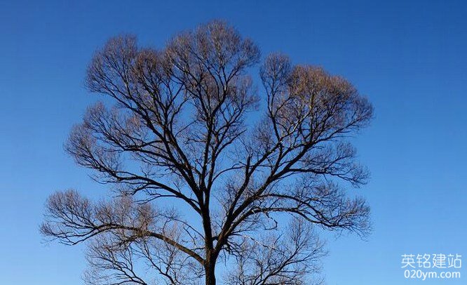 777久久久精品一区二区三区