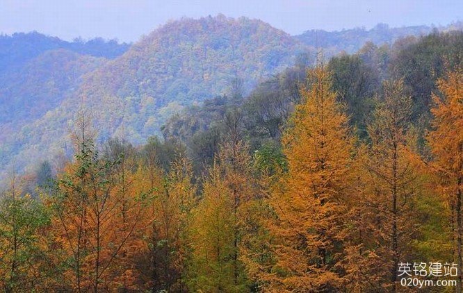 777久久久精品一区二区三区