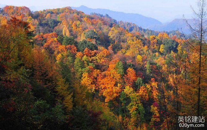 777久久久精品一区二区三区