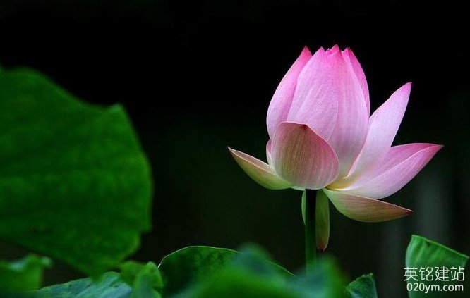 777久久久精品一区二区三区