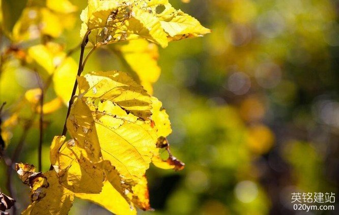 777久久久精品一区二区三区