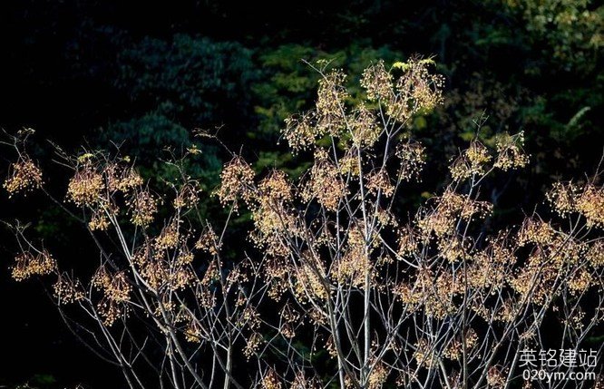 777久久久精品一区二区三区