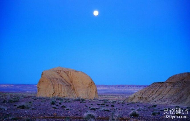 777久久久精品一区二区三区