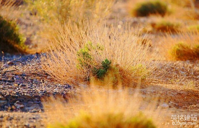 777久久久精品一区二区三区