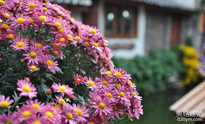 777久久久精品一区二区三区