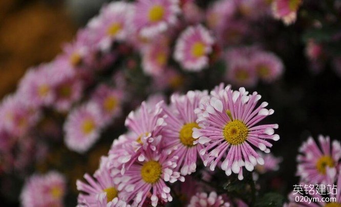 777久久久精品一区二区三区