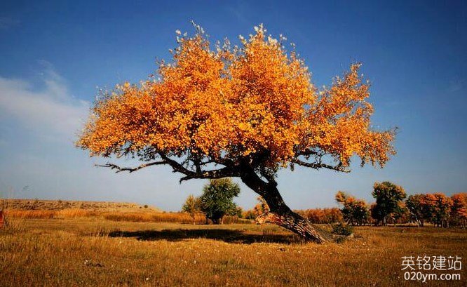 777久久久精品一区二区三区