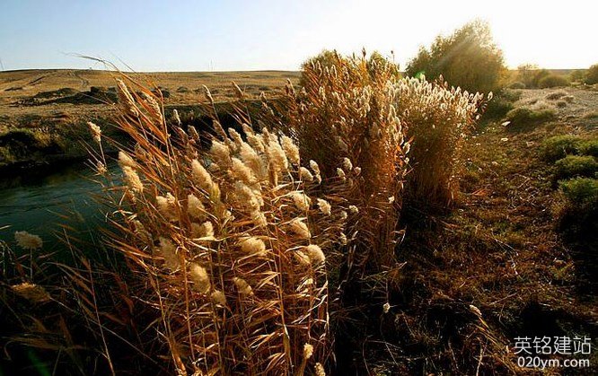 777久久久精品一区二区三区