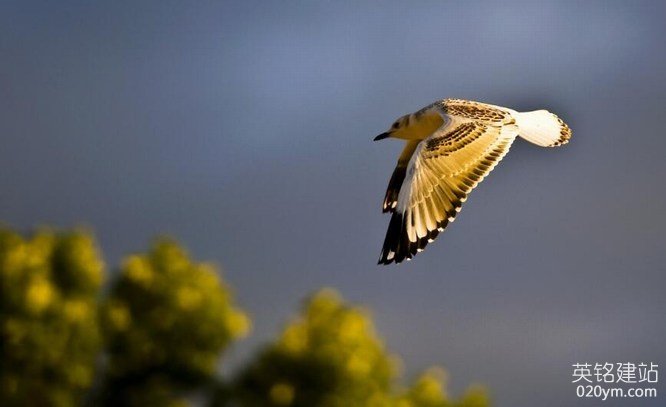 777久久久精品一区二区三区