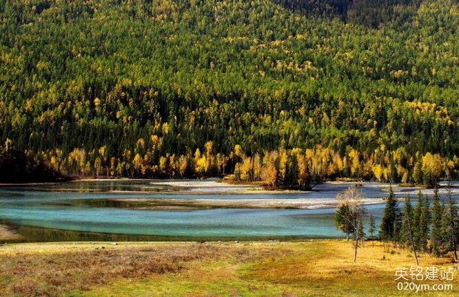 777久久久精品一区二区三区