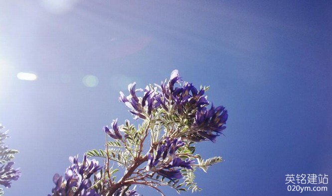 777久久久精品一区二区三区