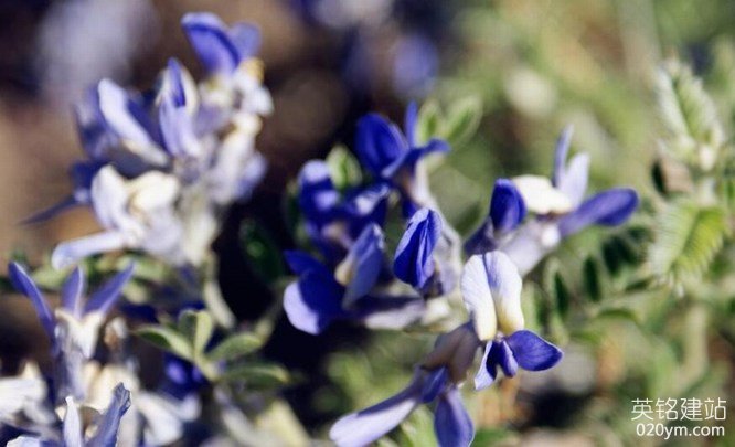 777久久久精品一区二区三区