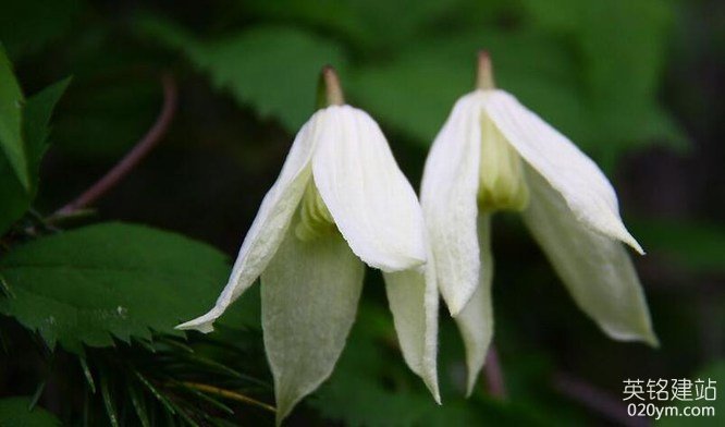 777久久久精品一区二区三区