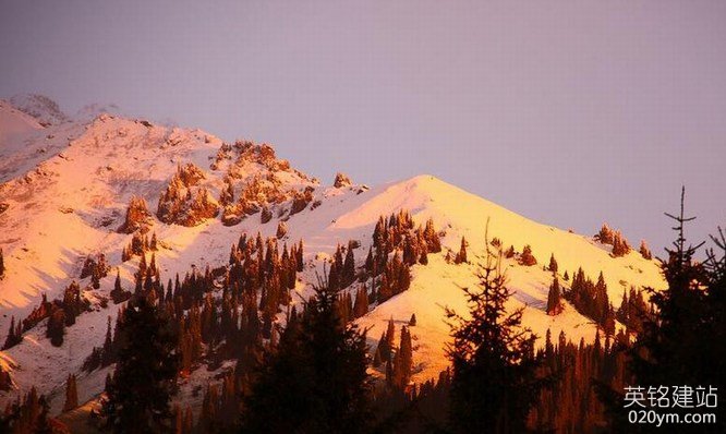 777久久久精品一区二区三区