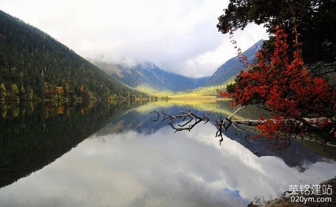 777久久久精品一区二区三区