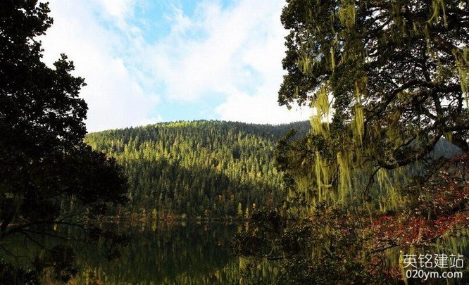 777久久久精品一区二区三区