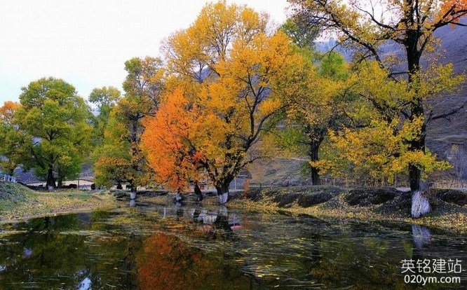 777久久久精品一区二区三区