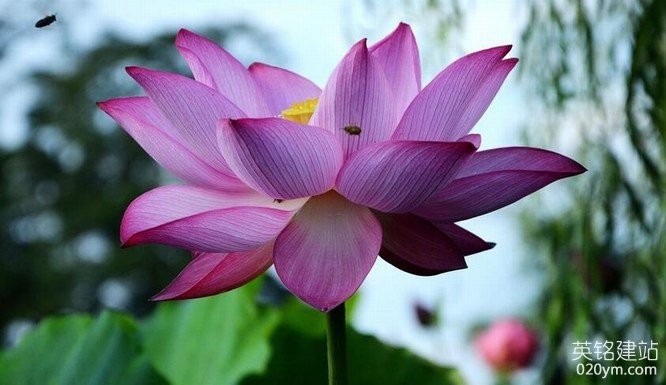 777久久久精品一区二区三区