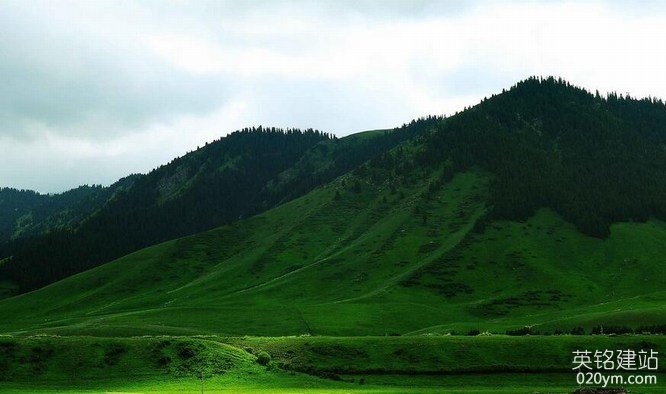 777久久久精品一区二区三区