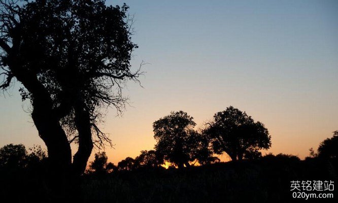 777久久久精品一区二区三区