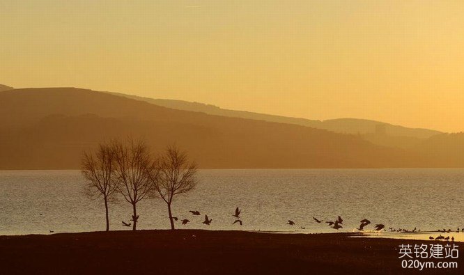 777久久久精品一区二区三区