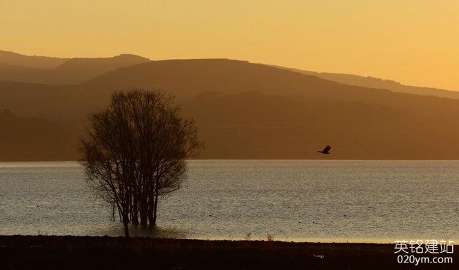 777久久久精品一区二区三区