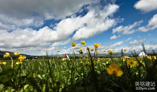 777久久久精品一区二区三区