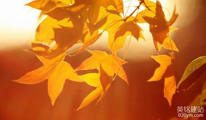 777久久久精品一区二区三区