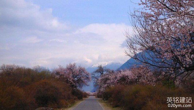 777久久久精品一区二区三区