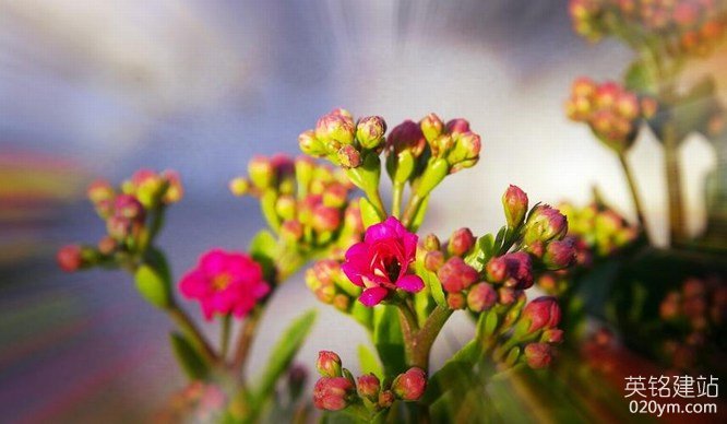 777久久久精品一区二区三区