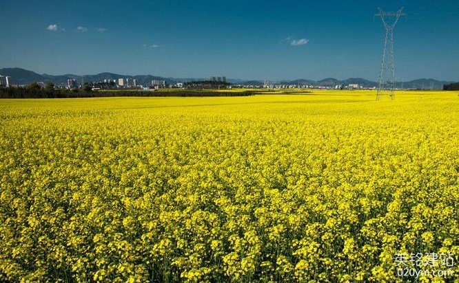 777久久久精品一区二区三区