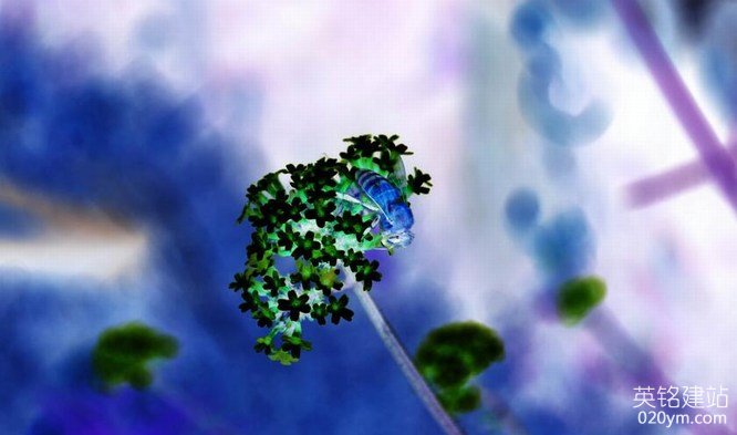 777久久久精品一区二区三区