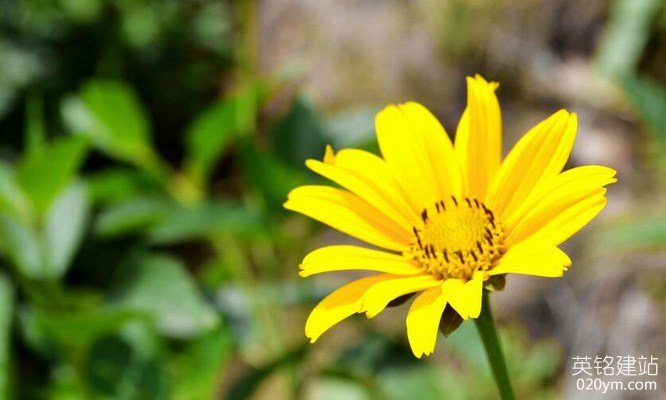 777久久久精品一区二区三区