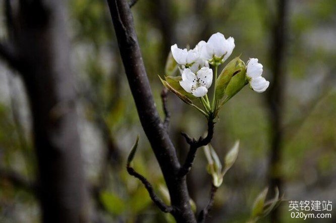 777久久久精品一区二区三区