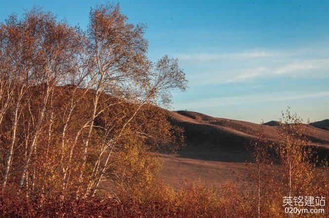 777久久久精品一区二区三区