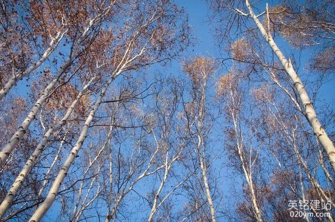 777久久久精品一区二区三区